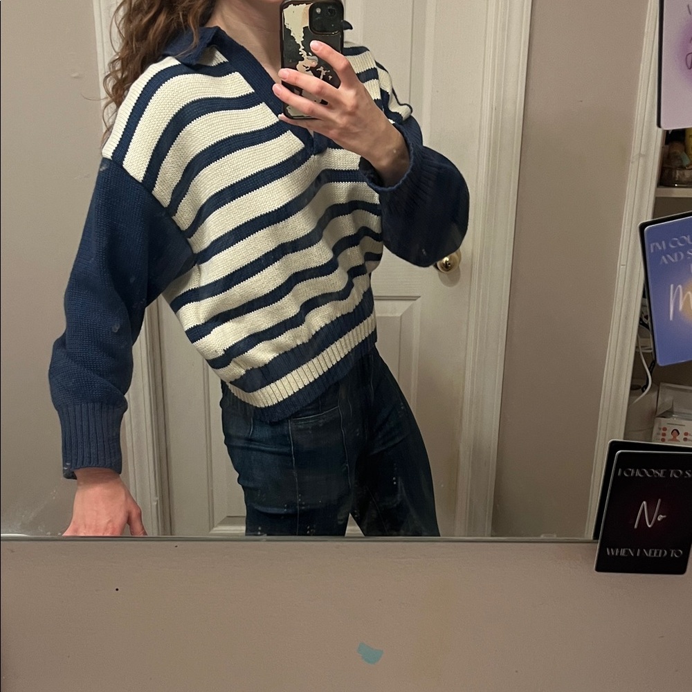 Dress Forum Navy and White Striped Sweater